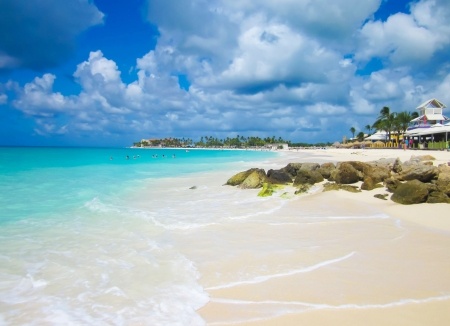 Recent Aruba Palm Beach Vacation