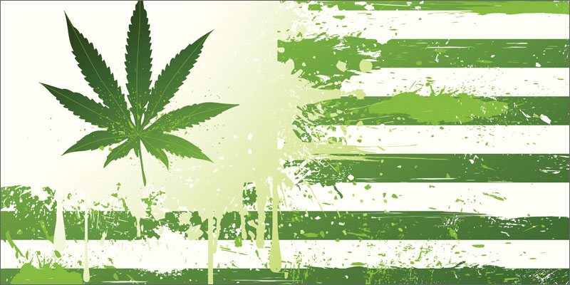 Massachusetts Voters Legalize Marijuana