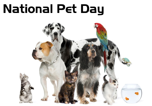 National Love Your Pet Day February 20th