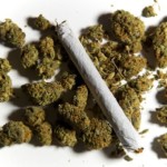 Latest Cannabis Culture News