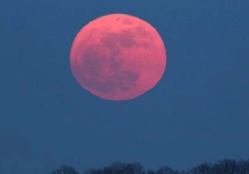 Spectacular Pink Moon Tonight