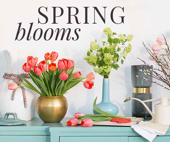 Organizing Your Home Spring