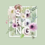 Spring Season Bucket List Ideas