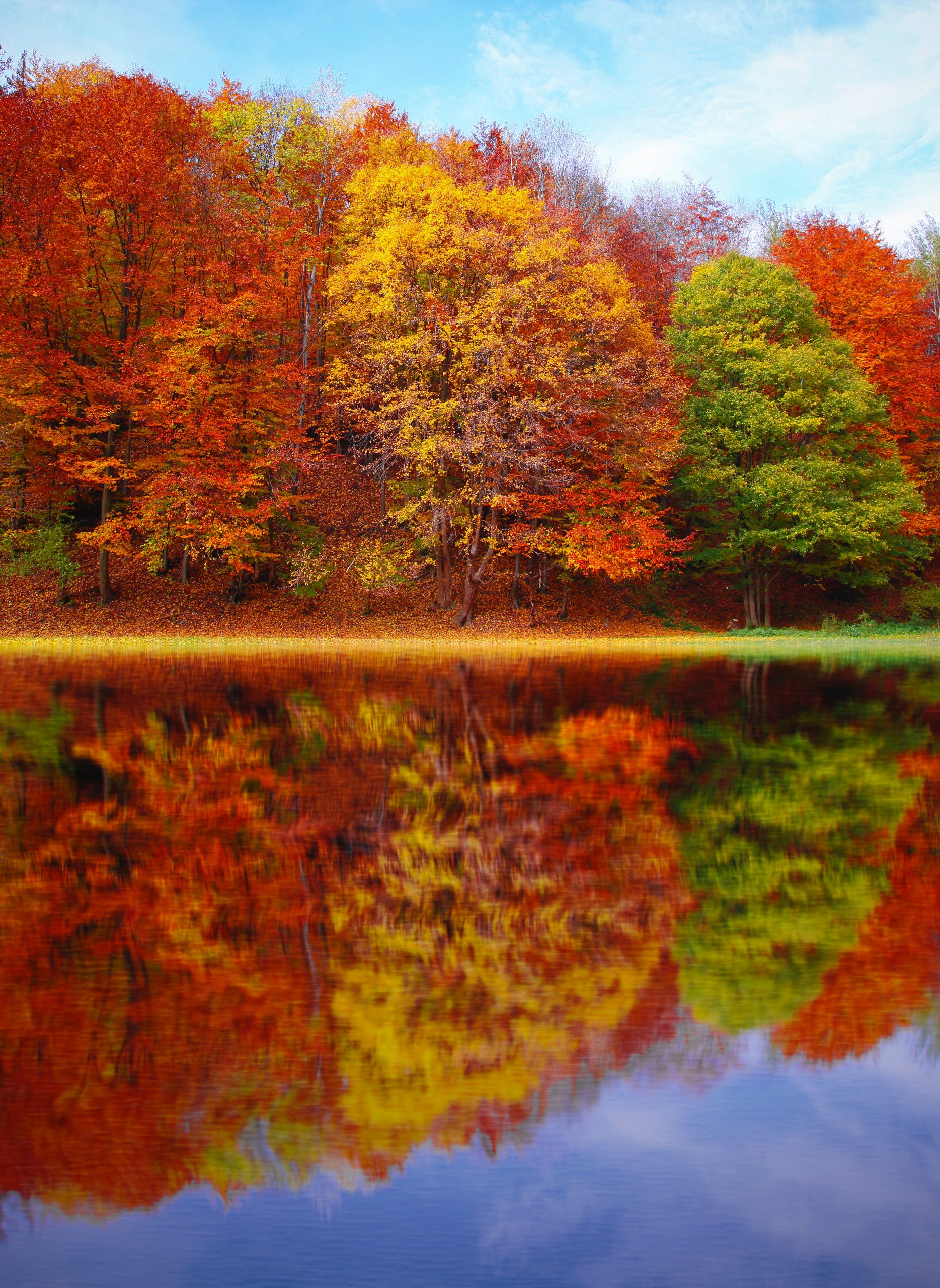 Beautiful Fall Scenic Foliage