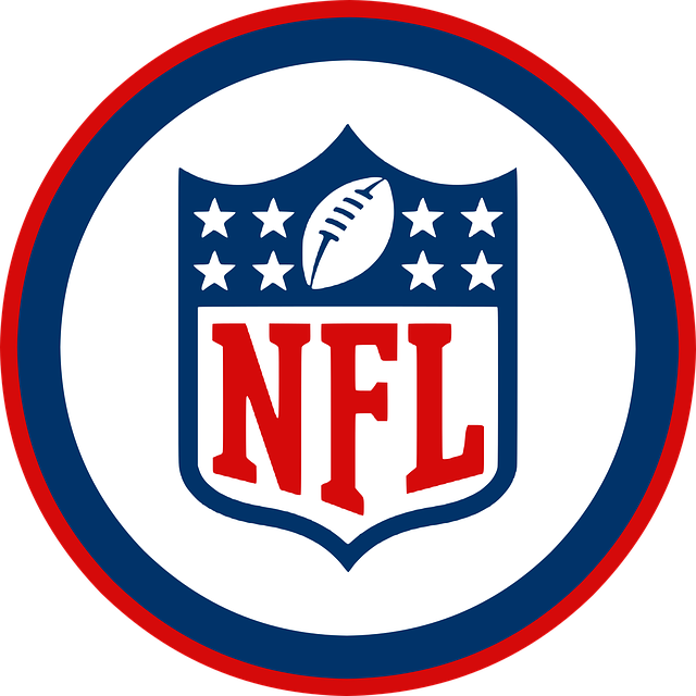 NFL Playoff Conference Finals 2019