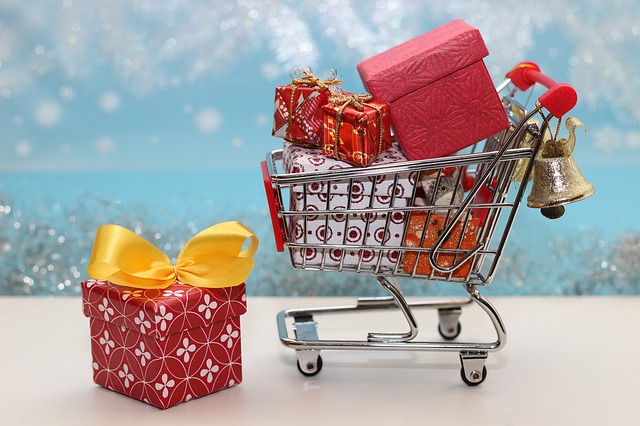 Best Holiday Gifts $50.00 or Less