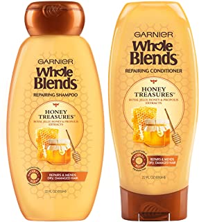 Whole Blends Garnier Shampoo & Conditioner Set