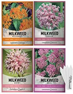 Milkweed Seeds for Monarch Butterflies