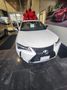 My New Lexus UX 250