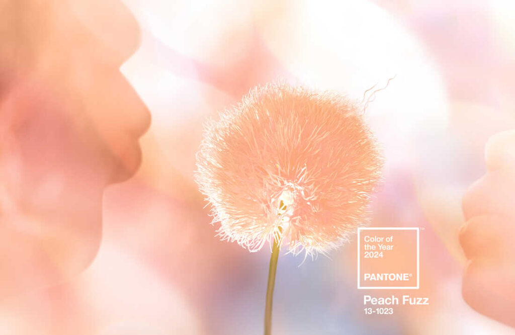 Peach Fuzz - 2024 Pantone Color of the Year
