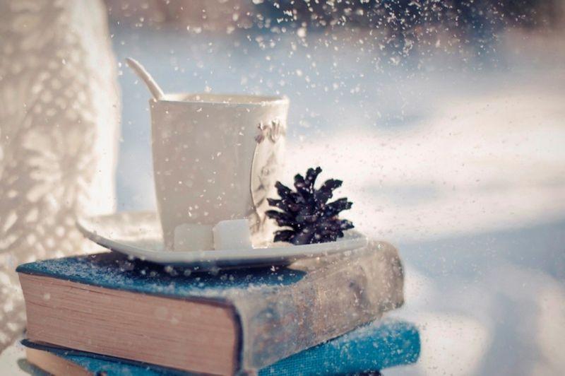 Best Books to Cozy Up With this Winter