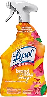 Lysol All Purpose Cleaner Spray