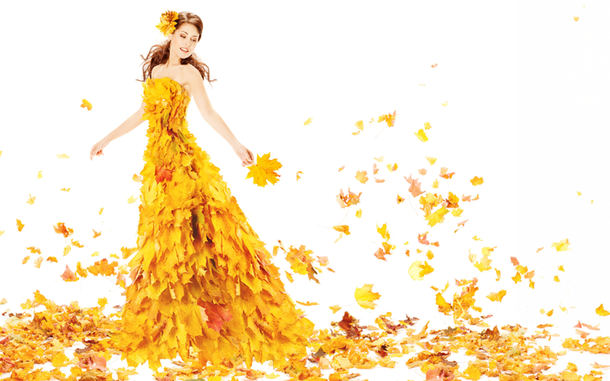Slider-Fall-Season-01-2026Sep20