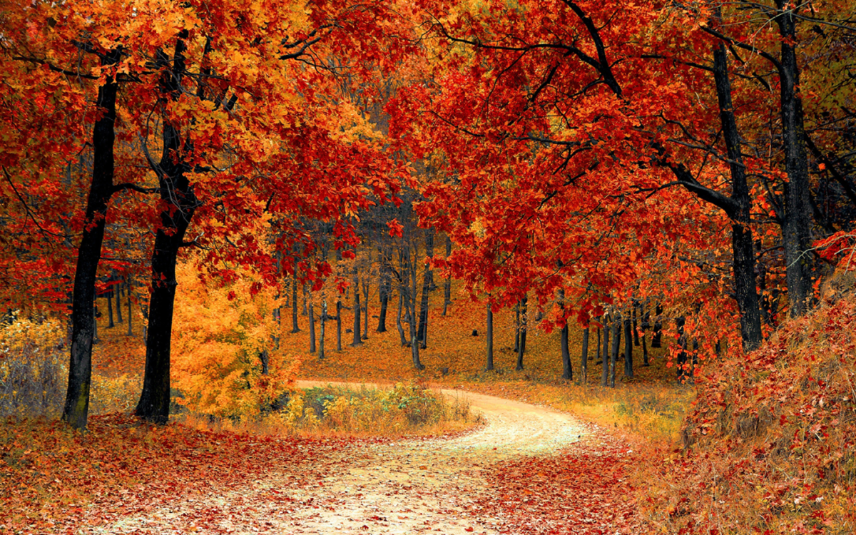 Slider-Fall-Season-03-2026Sep20